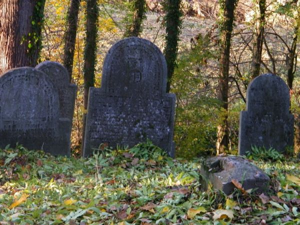 fragment cmentarza żydowskiego