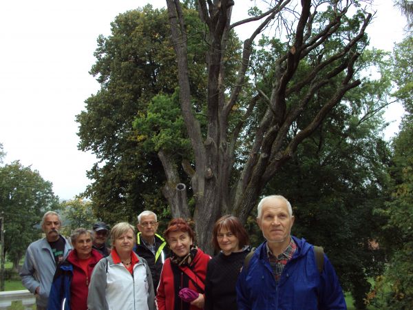 odnieśliśmy jakby wrażenie, jakby ten historii - dziejów wprost - świadek o pomoc prosił, o wsparcie a może i konara podparcie, żyć chciałby jeszcze - trwać - w