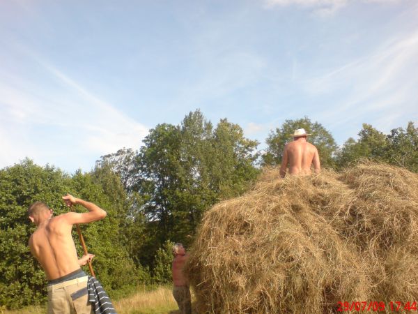 Zbiór siana w Chromcu