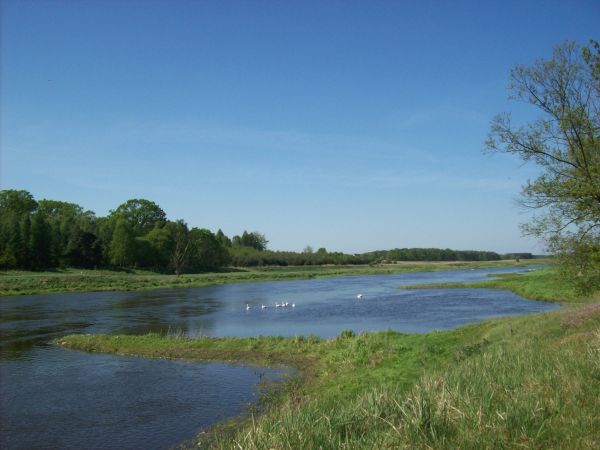 zdjecie Chojno-Młyn