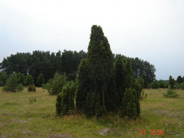 zdjecie Rybaki