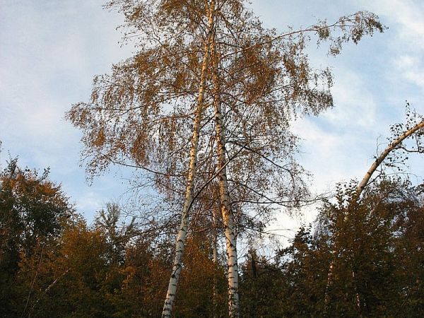 A w górach już jesień ...