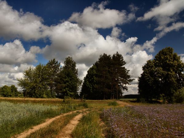 zdjecie Tyniewicze Duże