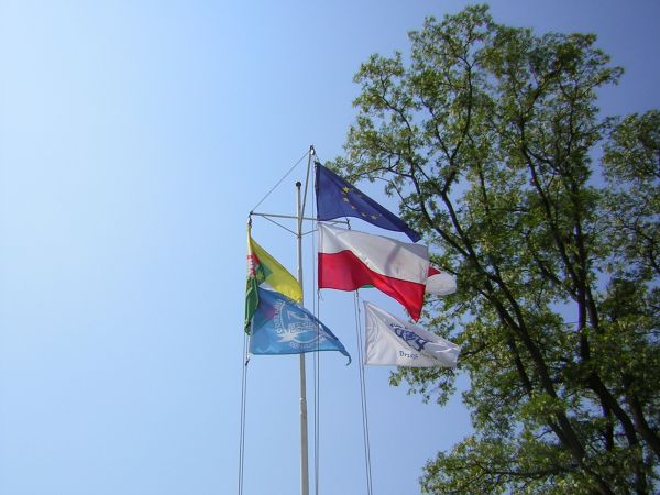 zdjecie Sulechów