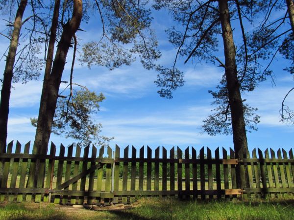 Na działkach w Borsku
