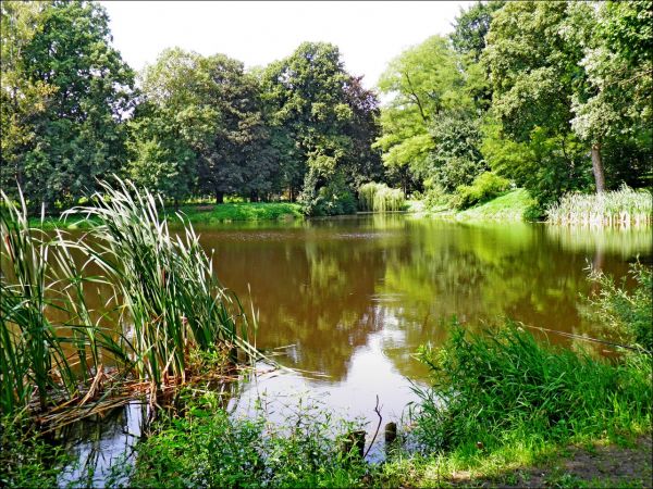 Pałac Turnauów w Urzejowicach z 1887 roku w trakcie odbudowy  i park krajobrazowy .