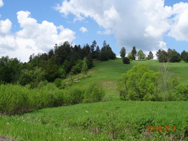 bliska naszemu sercu kraina obfituje w całkiem liczne osobliwości geograficzne, przyrodnicze, topograficzne i historyczne. Można też wiedzieć, że zaskrońce osią