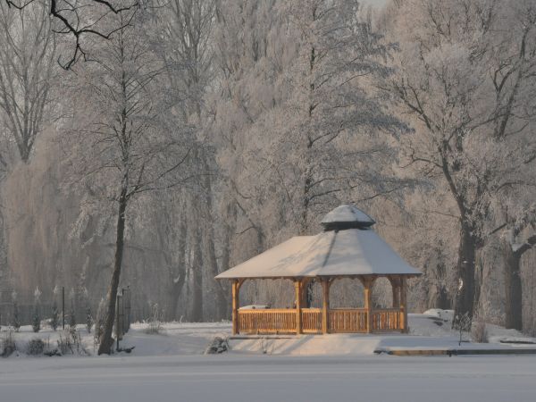Wolsztyn - nad jeziorem Wolsztyńskim, zima 2010/2011