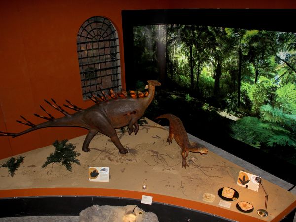 zdjecie Starachowice