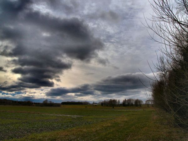 zdjecie Tyniewicze Duże