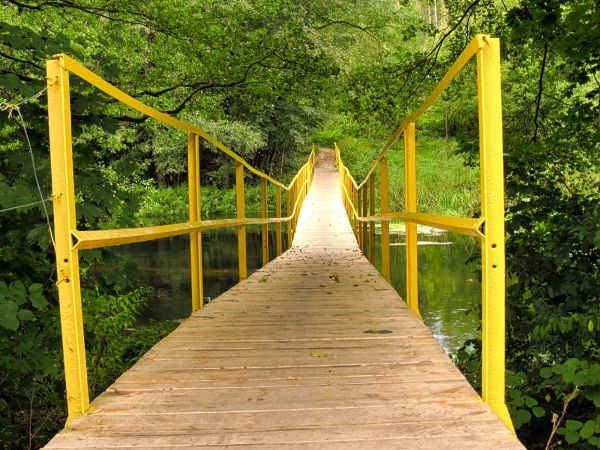 Kładka piesza przez rzekę Wdę