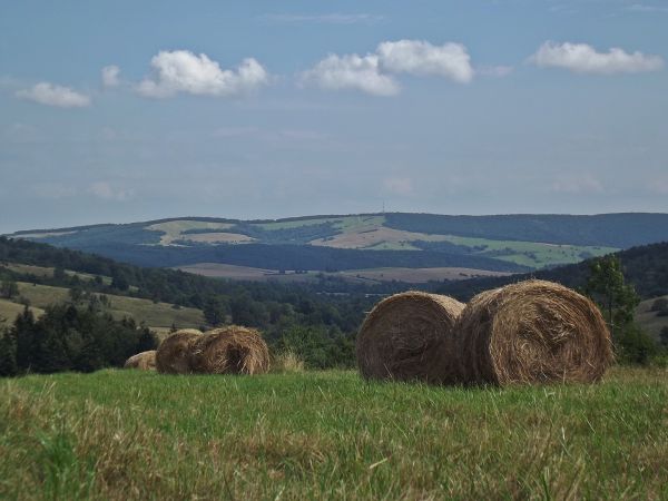 hen - niemal pośrodku : w paśmie Dziady - 647m npm - przekaźnik telefonii komórkowej i sygnału radiowo-telewizyjnego, w siodle : teren dawnej wsi  Kamienne - dz