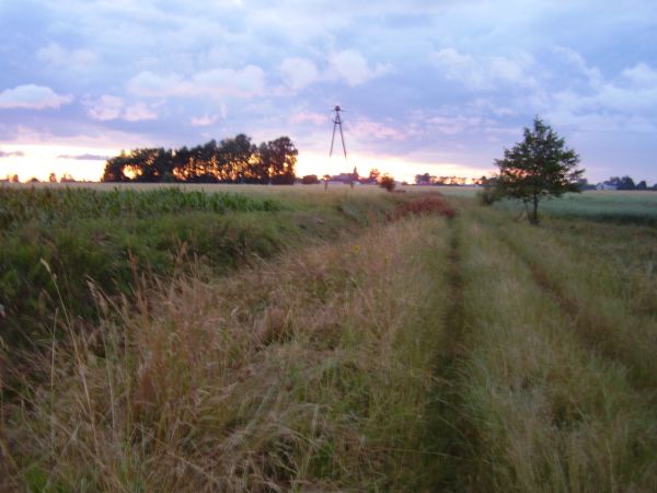 Widok na pniewnik droga na gawrony