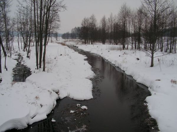 Okolice miasta ( fot. Marcin B. Niczyporuk )