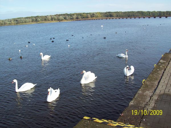 zdjecie Kamień Pomorski