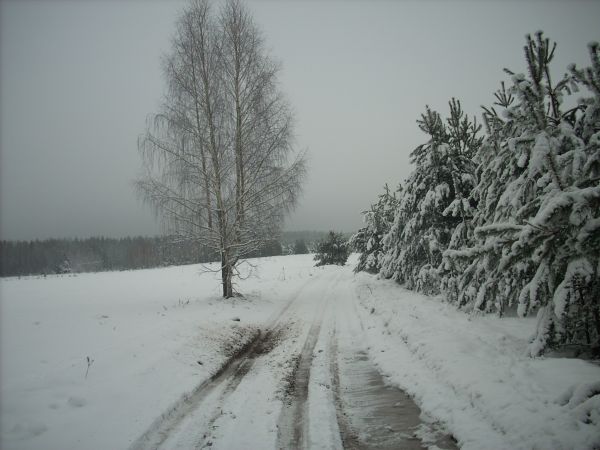 zdjecie Piłatowszczyzna