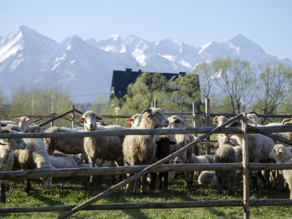 zdjecie Białka Tatrzańska