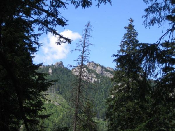 zdjecie Zakopane