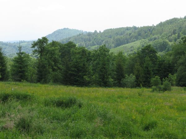 dalej góra Paproć - 503m npm i "spływające" pasmo Granickiej - 575m npm a na nim w prawo kulminacje Duży Kamień - 510m npm oraz g. Wołośki - p.500m npm /w tej g