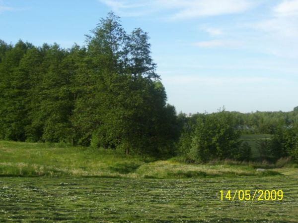 zdjecie Dobieszewice