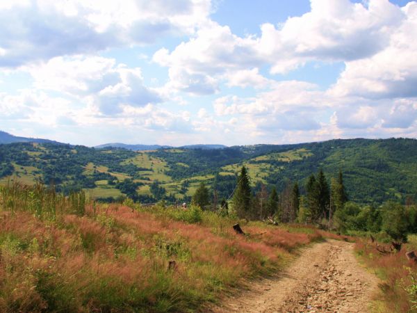 zdjecie Rycerka Dolna