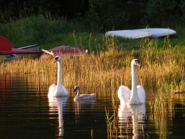 Nie masz to jak we dwoje