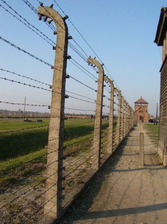 A ogrodzenia ciągną się kilometrami........