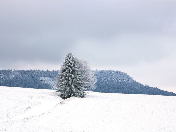 Zima w Pasterce w górach Stołowych. Malutka, malownicza wioska u samego podnóża Szczelińca Wielkiego jest unikalną już oazą ciszy i spokoju zadziwiając przy tym