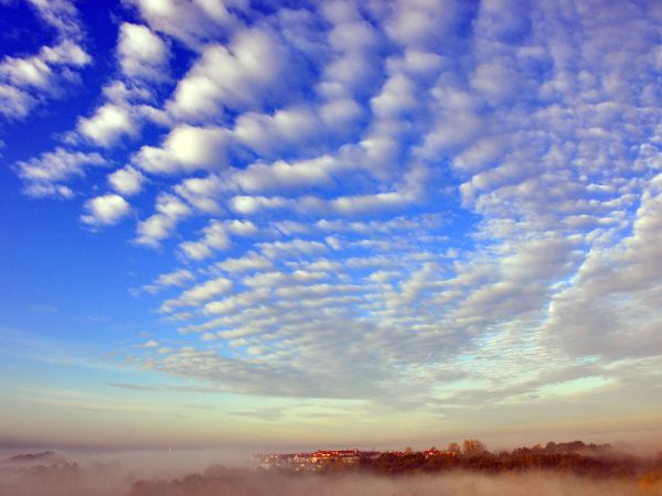 zdjecie Wodzisław Śląski