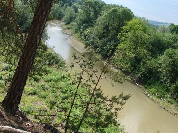 7.06,2011  godzina 9:06