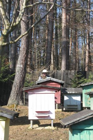 dowiedzieliśmy się, że pszczelarz jest dla pszczół, nigdy odwrotnie ! - i jeszcze uwaga : przechodząc koło pasieki należy unikać używania telefonów komórkowych