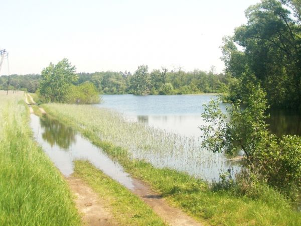 Kępa Polska dnia 23.05.2010r. -  Rozlewisko Mołtawy po letniej powodzi gdy poprzedniego dnia o god. 23,00 Wisła osiagnęła na wodowskazie maksymalny poziom 739 c