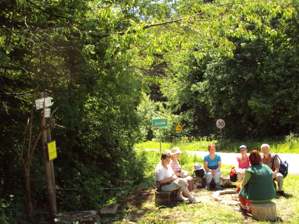 Na skraju wsi - od strony Olchowiec. Pośród licznych rzemiosł we wsi - kiedyś wielkie znaczenie miał wyrób instrumentów muzycznych, ponadto sadownictwo, plantac