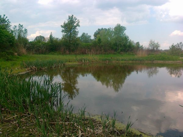 Południowa  linia brzegowa  tajemniczego jeziora .