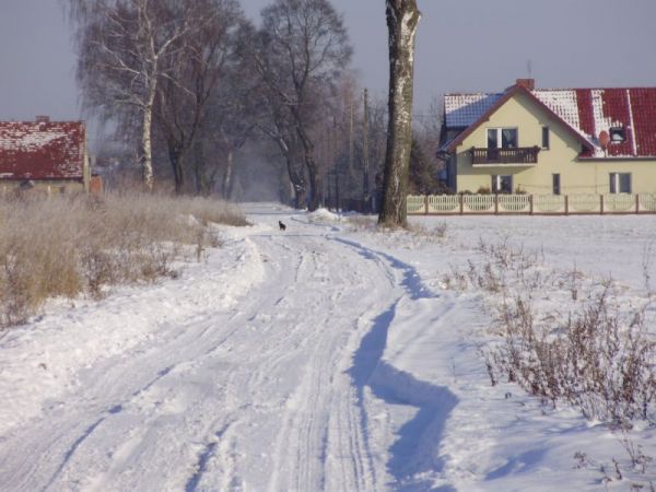 zdjecie Krzyżanowice