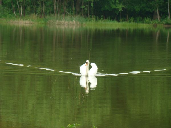 JEZIORO KOPCZE 10.05.2009