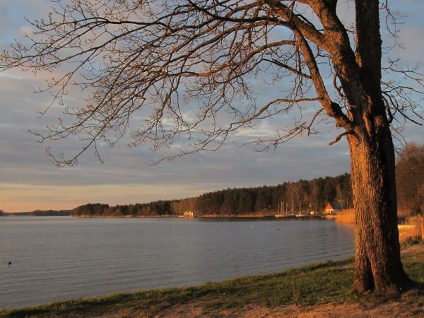 Jezioro Wdzydze przy Złotej Rybce