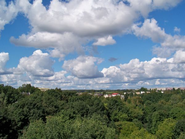 Widok na Czeladź z Oś. Musiała.