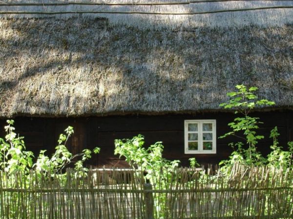 zdjecie Biskupin