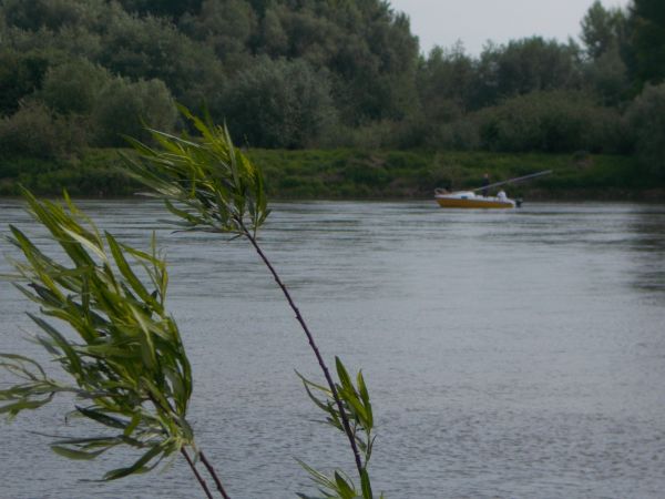 Ten wiatr nad Wisłą  to za pewne wiatr historii . Może przyniesie mądrzejszego prezydenta ? ;-)  .
