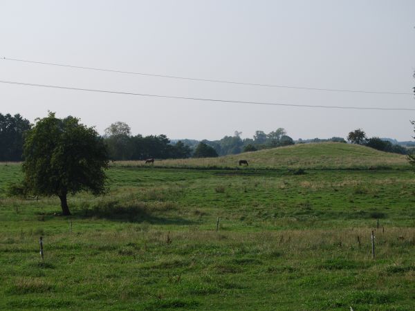 zdjecie Szczybały Orłowskie