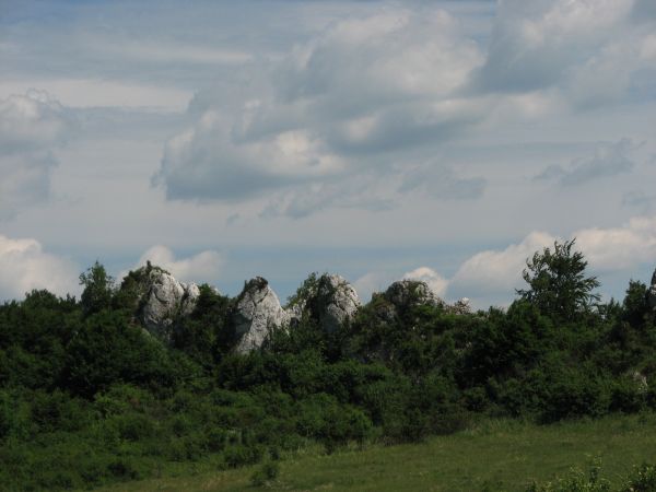 Zdjęcia Rzędkowice