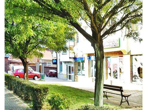 zdjecie Sulechów