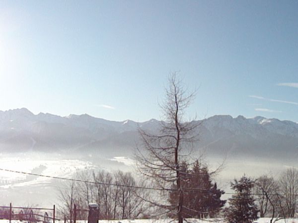 Zdjęcie z Willi Chycówki