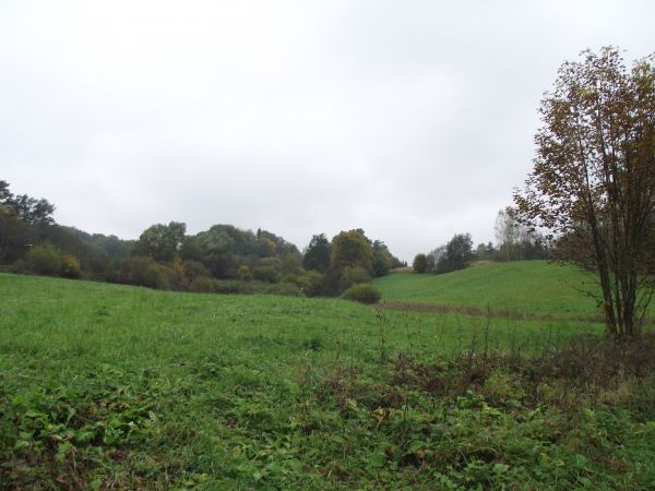 łąki śródleśne - tu między zboczem Czarnej Góry - 405m npm, nasypem kolejowym a "Lasem Kostryńskim".