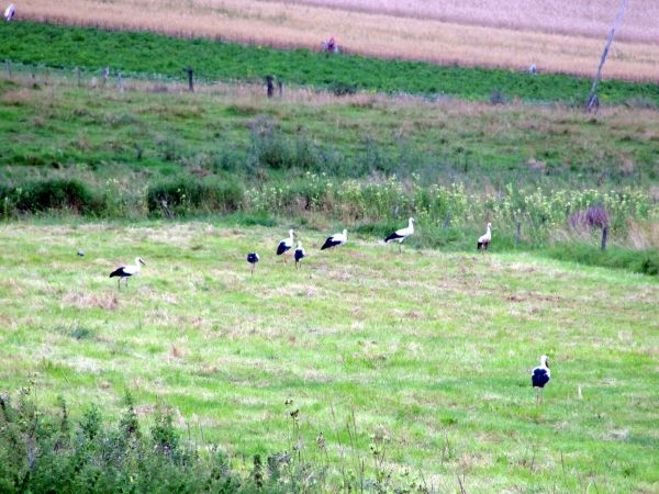 Przed odlotem, sierpień 2010r.