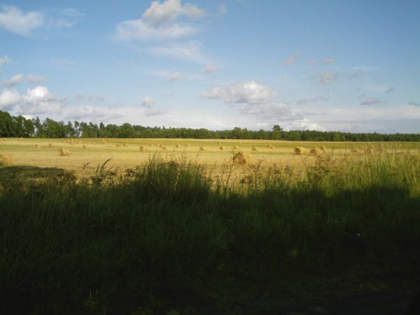 Okolice Janowic.
Po żniwach.