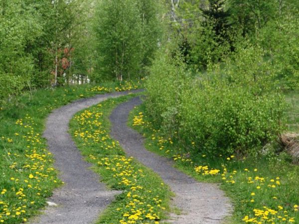 MALOWNICZA DROGA DO KOŚCIÓŁKA