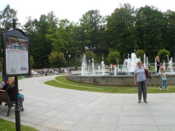 fontanna - w centrum uzdrowiska, tu tzw. grająca ale też są inne np. przy trakcie do stacji dolnej kolejki linowo-terenowej na Górę Parkową i w sąsiedztwie pomn