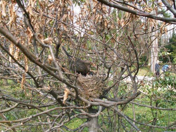 Spokojnie, już przyniosłam jedzonko.